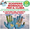 Il manifesto di Friday for Future